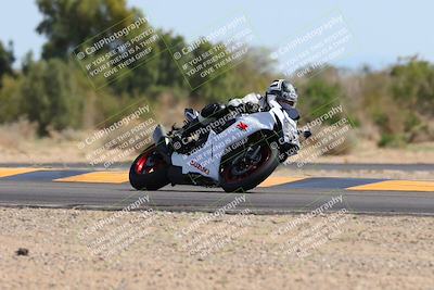 media/Mar-10-2024-SoCal Trackdays (Sun) [[6228d7c590]]/11-Turn 7 (130pm)/